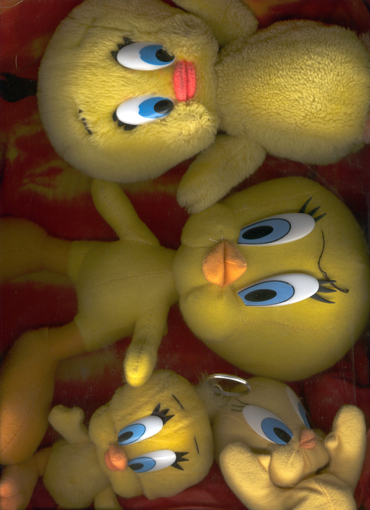 imnotobsessedwithtweety.jpg